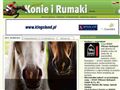 Konie i Rumaki